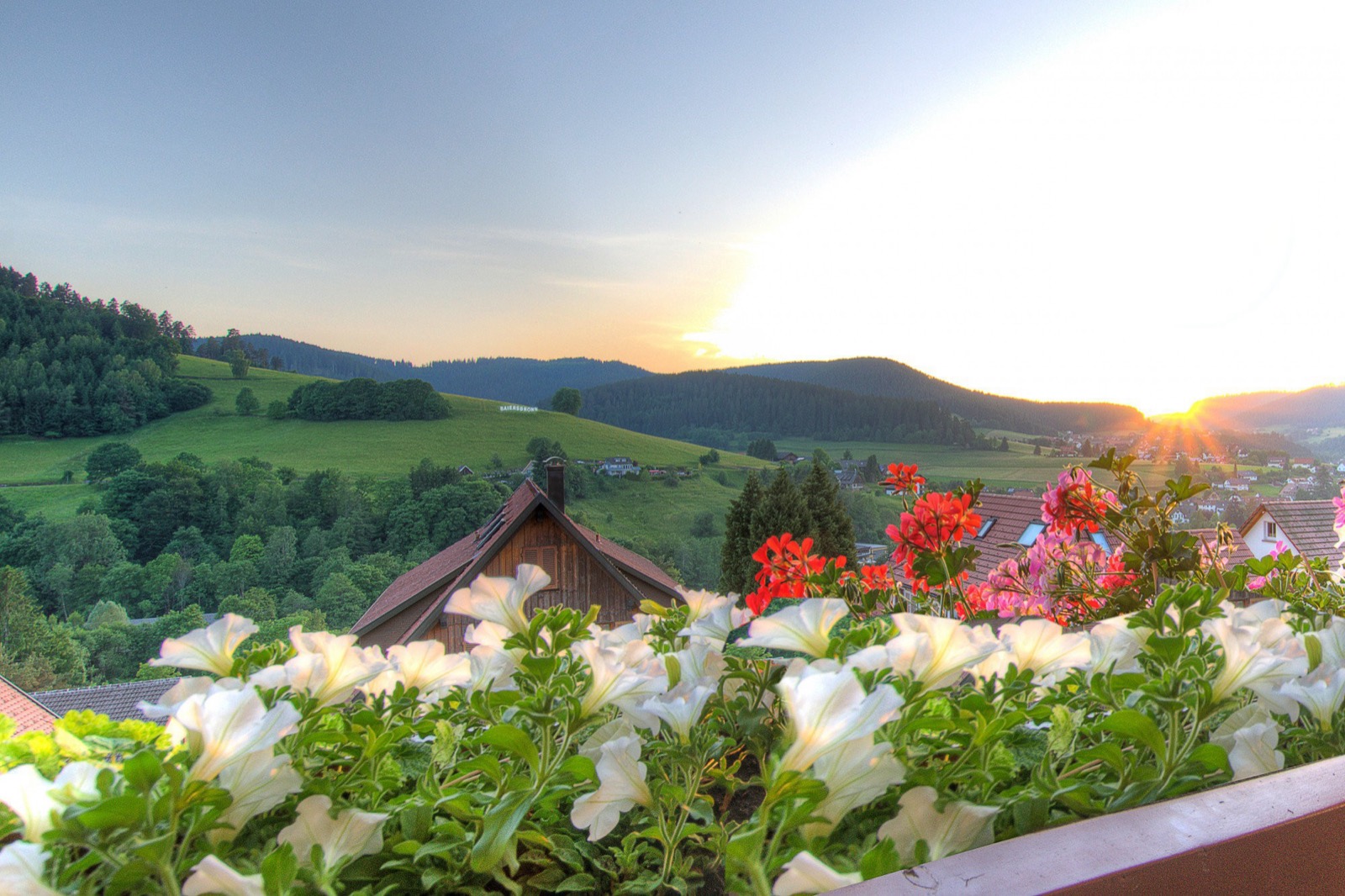 Blick vom Hotel FALKEN ins Tal